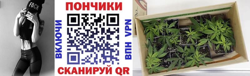 Как найти наркотики Новокубанск А ПВП Бутират КОКАИН Бошки Шишки