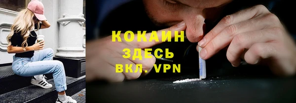 стаф Балахна