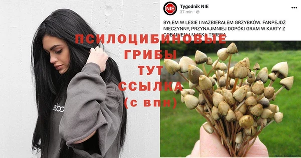 стаф Балахна