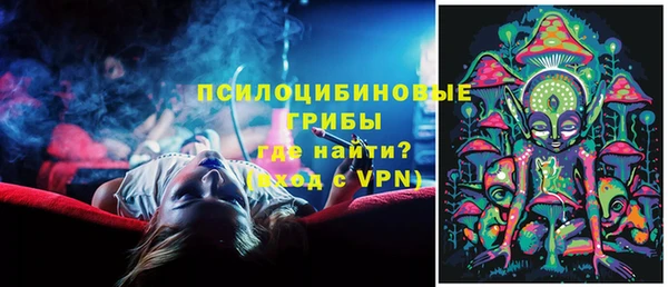 стаф Балахна